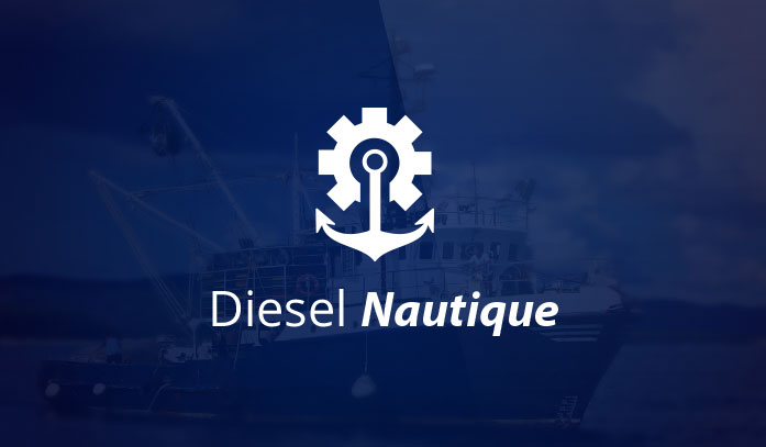 Branding & Logo