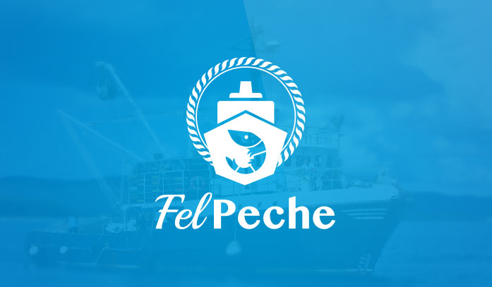 Branding & Logo