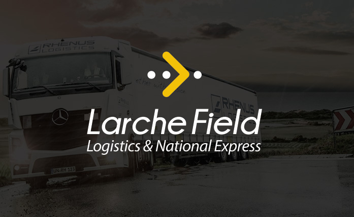 Branding & Logo